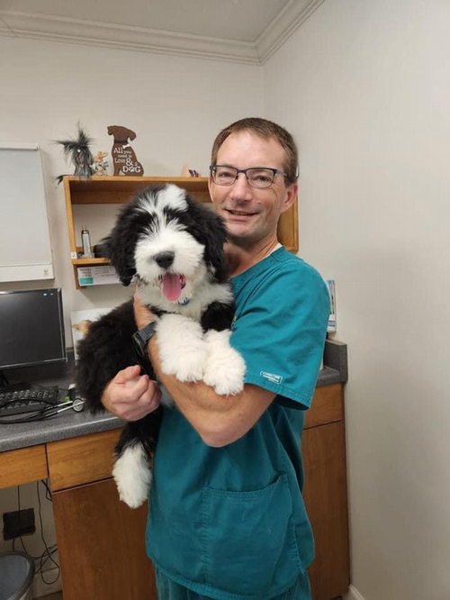 Dustin Borkosky, DVM